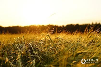 023年农历十一月提车黄道吉日，阴历十一月宜提新车的好日子"