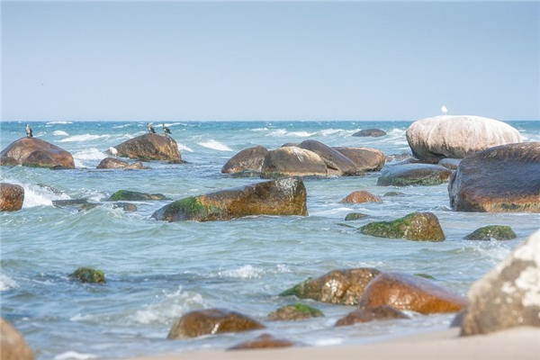 公历2023年12月26日是农历几月几日