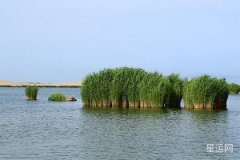 姓陈女孩最新的好名字,陈姓诗经中最唯美的名字