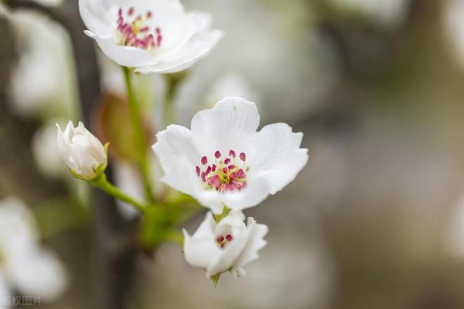 024年立春不一般，老人说“立春除夕前，5人要躲春”，指哪5人？"