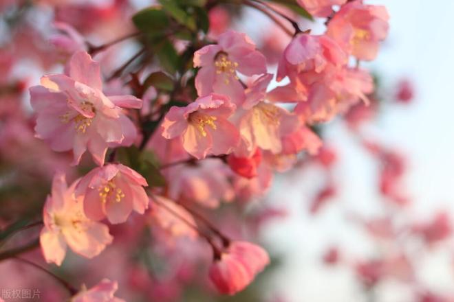 024年立春不一般，老人说“立春除夕前，5人要躲春”，指哪5人？"