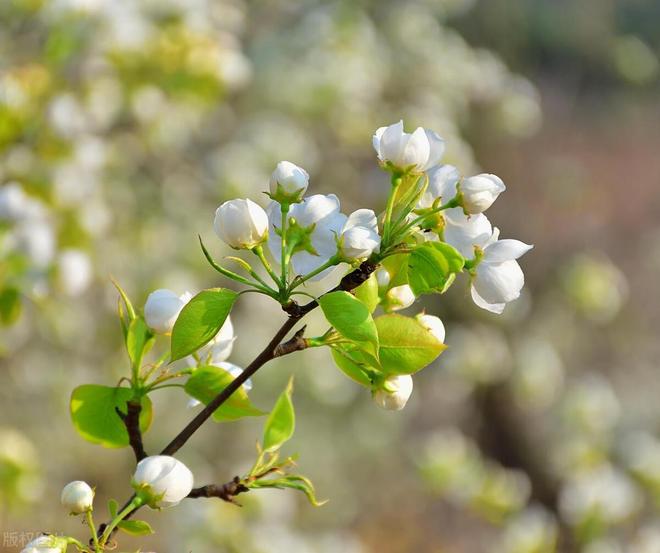 024年立春不一般，老人说“立春除夕前，5人要躲春”，指哪5人？"