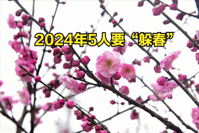 024年立春不一般，老人说“立春除夕前，5人要躲春”，指哪5人？"